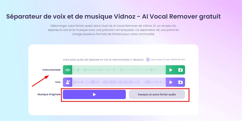 ai vocal remover vidnoz 1