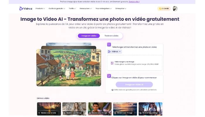 application effet fisheye et image en video de vidnoz