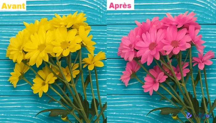 changer la couleur d'un objet sur une photo gratuit