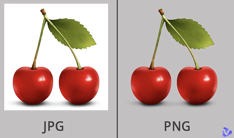 3 méthodes pour convertir une image en PNG transparent gratuitement