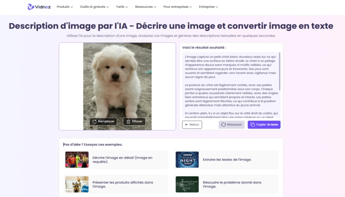 description image ia de Vidnoz