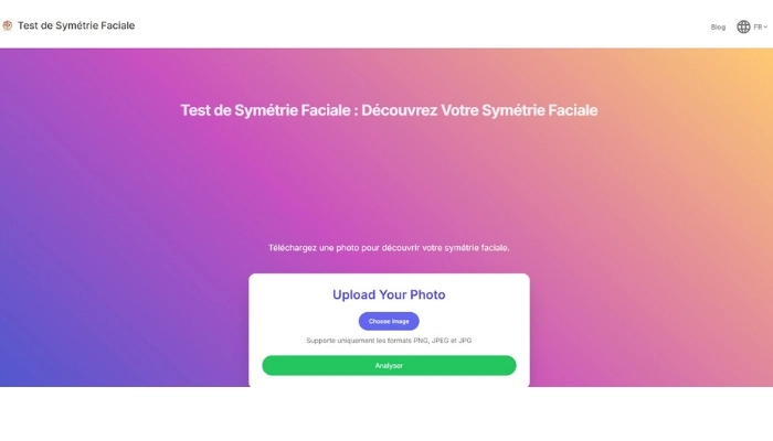 face symmetry test
