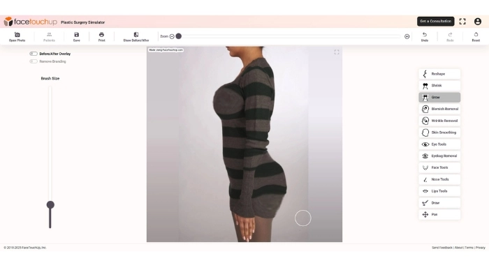 facetouchup simulateur chirurgie esthetique en ligne