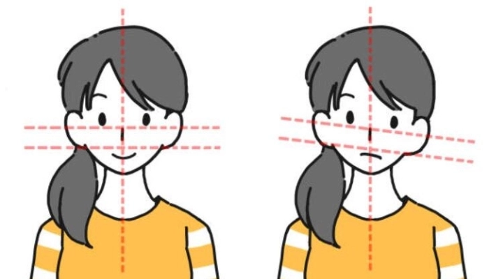facteurs qui influencent la symetrie du visage