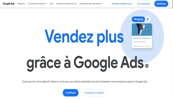Google Ads droshipping ia
