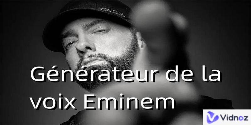 la voix eminem vd