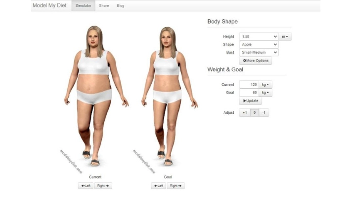 model my diet simulateur de perte de poids avec photo