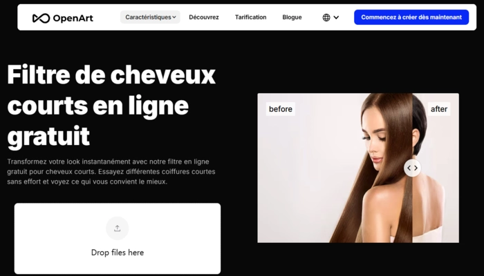 openart filtre cheveux courts