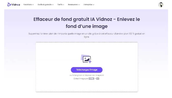 supression de fond vidnoz