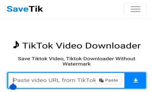 Télécharger une vidéo TikTok sans filigrane