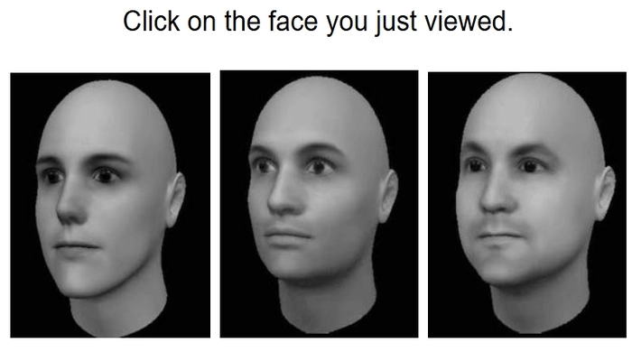 TestMyBrain prosopagnosie test