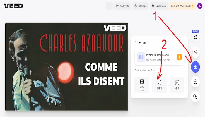 veed extraire son video youtube sans logiciel etape deux