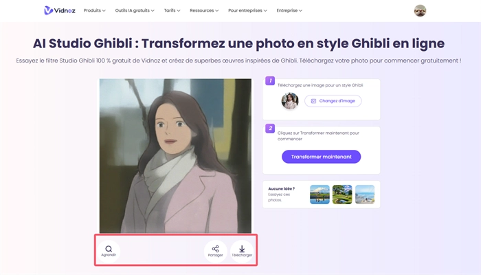 vidnoz photo effet polaroid b